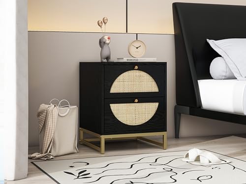 Black 2-Drawer Rattan Wood Nightstand M695