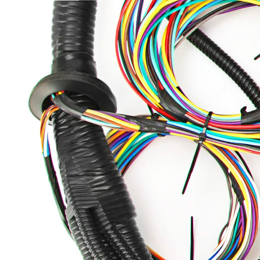 Standalone Harness with Fuel Injector Connectors Q24399