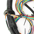 Standalone Harness with Fuel Injector Connectors Q24399