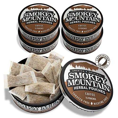 Nicotine-Free Tobacco-Free 5 Cans 15 Energy Pouches Per Can L870