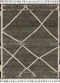 Beige Charcoal 9'6 x 13'6 Rug B627