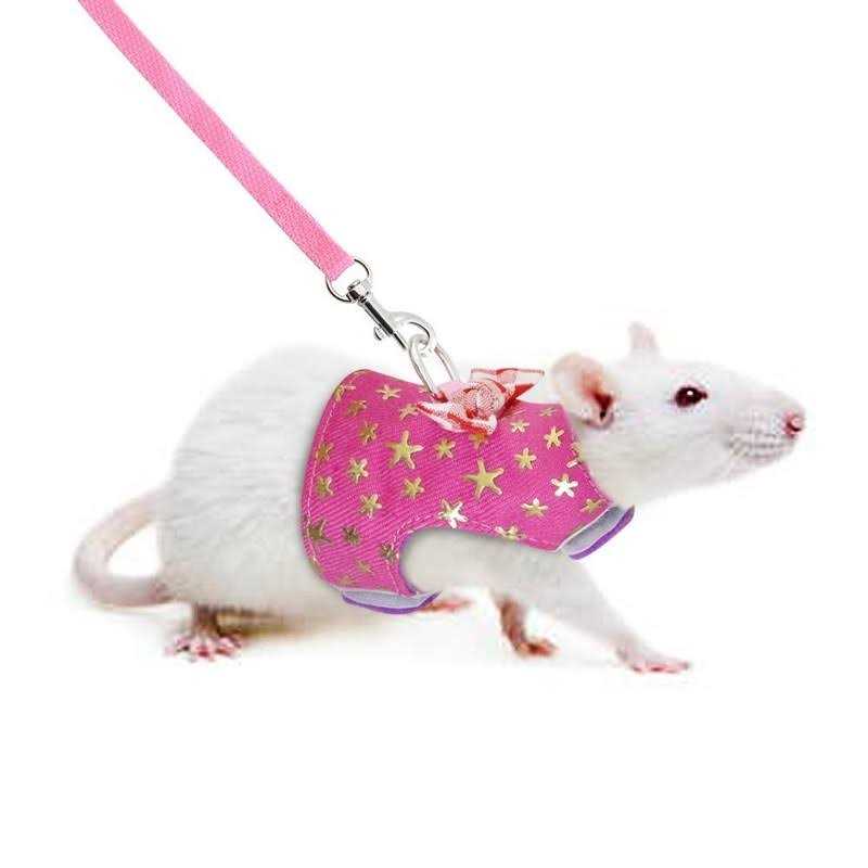 Small Pet Outdoor Walking Harness Vest and Leash Set X36009