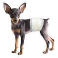 Soft Disposable Male Dog Wraps S550