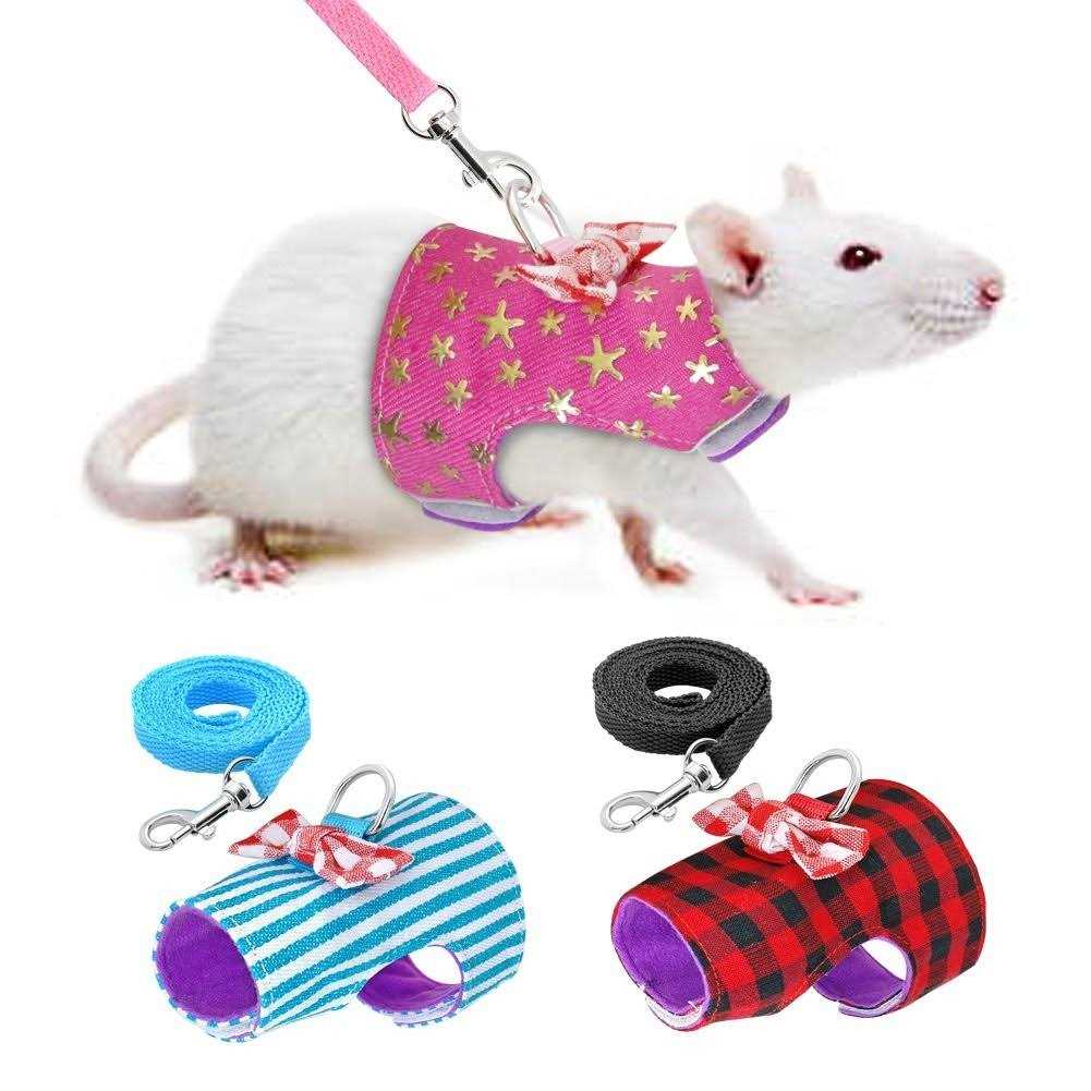 Small Pet Outdoor Walking Harness Vest and Leash Set X36009