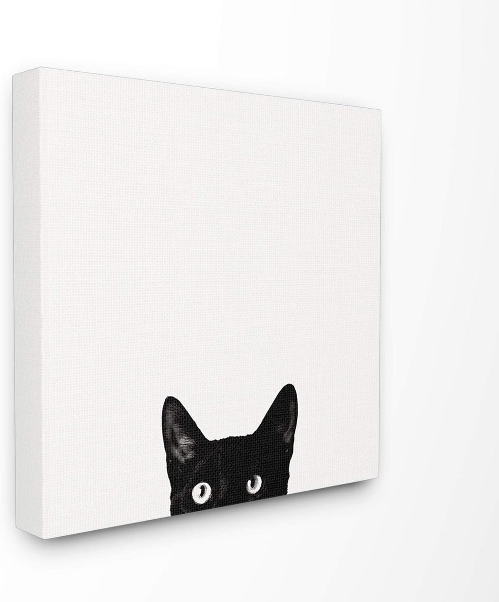 Black Cat Canvas Wall Art, 24 x 24 N8378