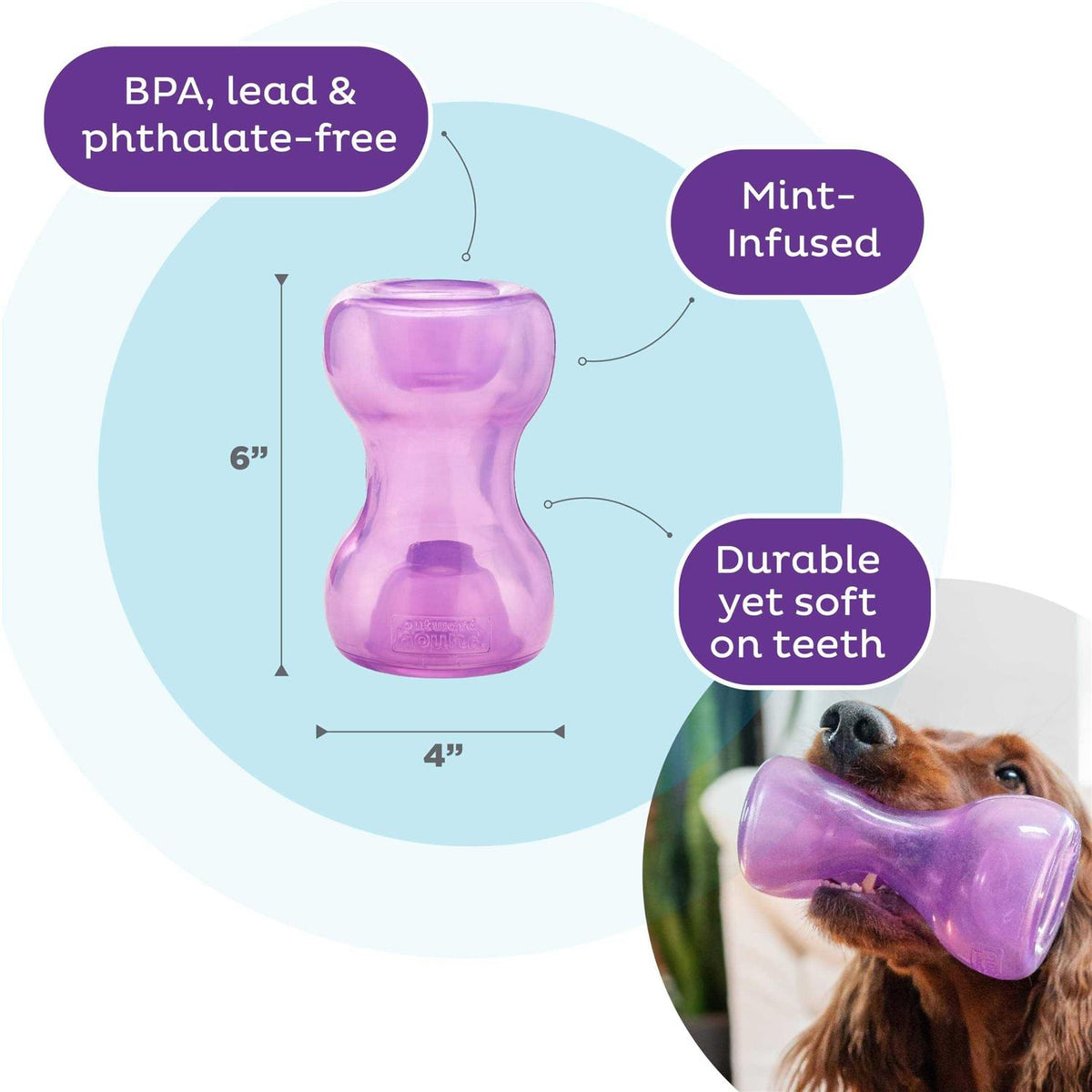 Durable Interactive Dog Toy H269