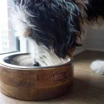 Wood Dog Bowl P385647
