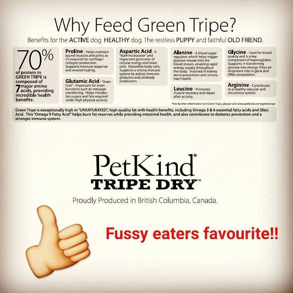 Beef Tripe Formula Dry Dog Food X18062