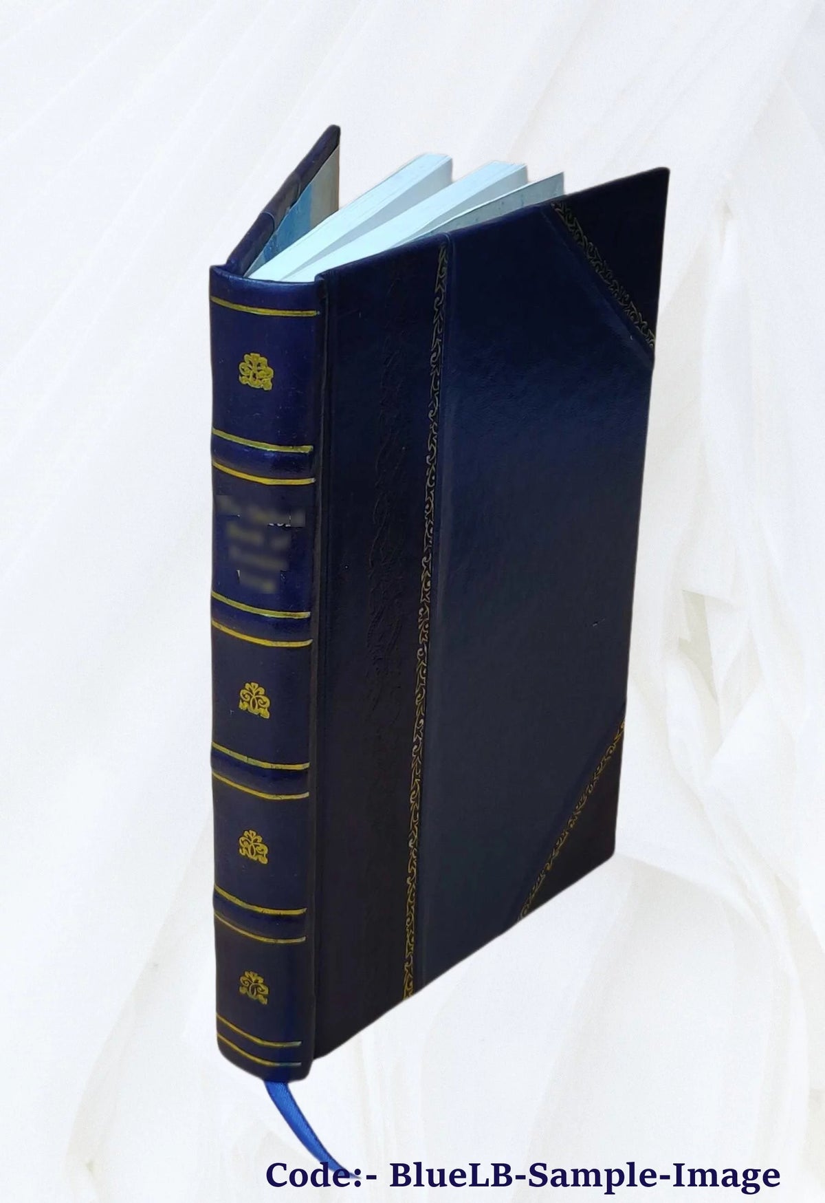 King William County Virginia Homes and Families Leather Bound O7643