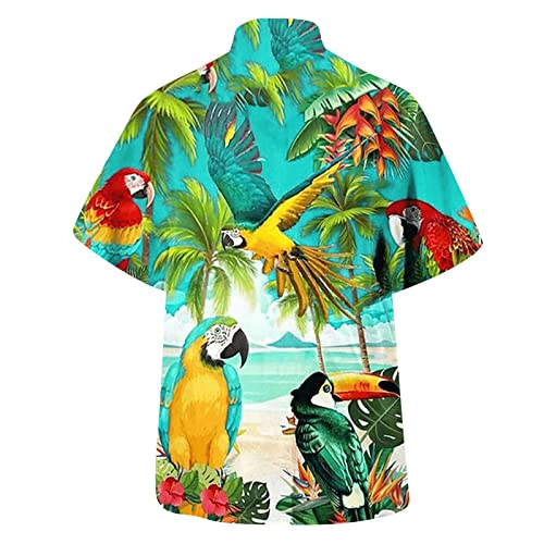 Men Hawaiian Printed Button Down Shirt U7606
