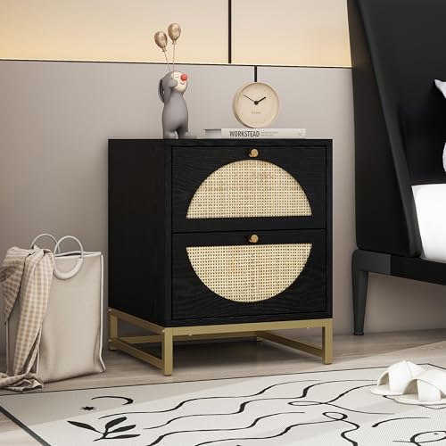 Black 2-Drawer Rattan Wood Nightstand M695