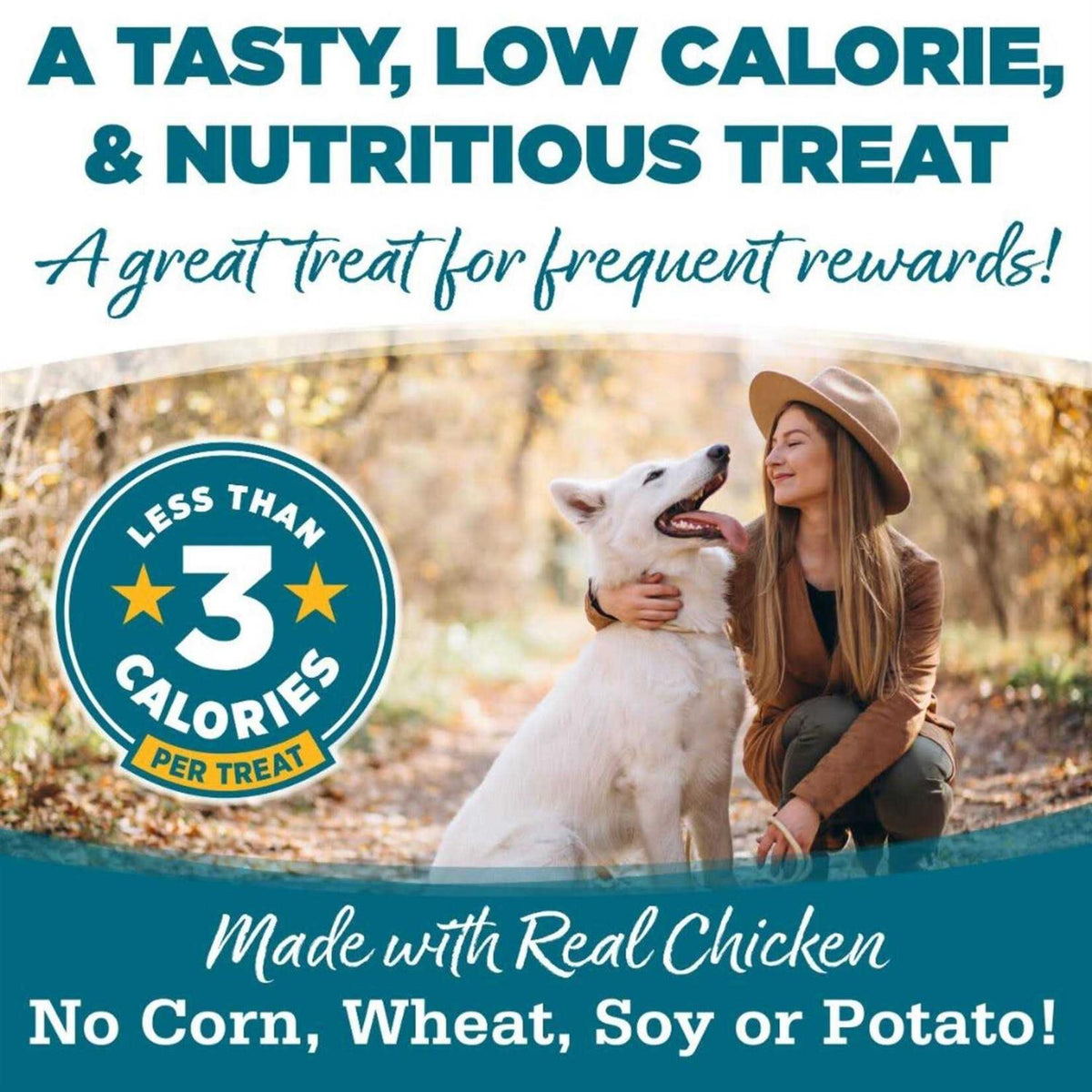 Chicken Dog Training Treats Z4050