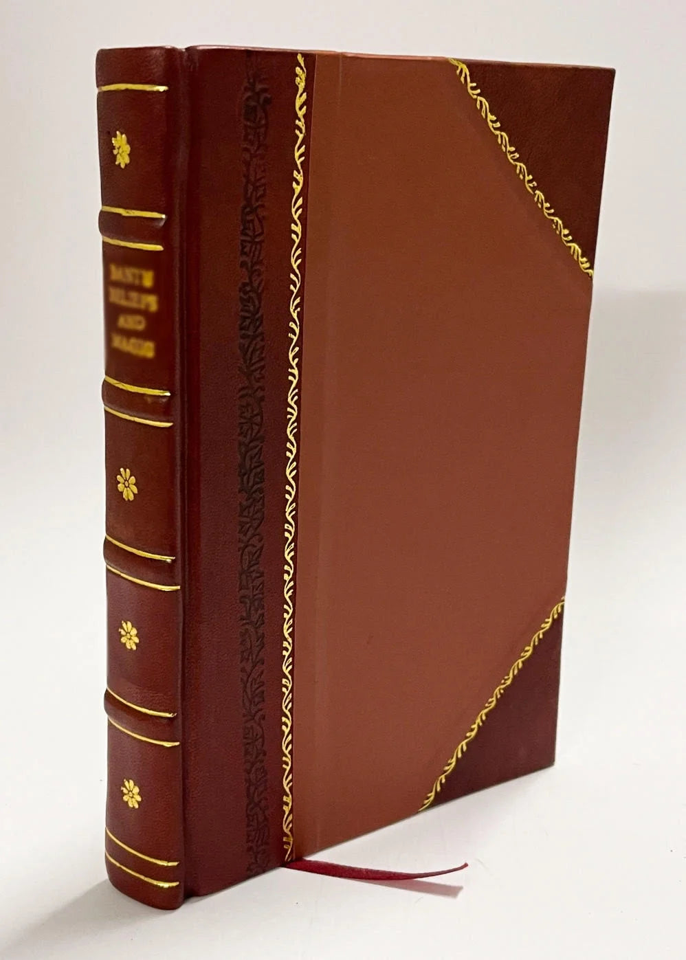 Leather Bound Book F809