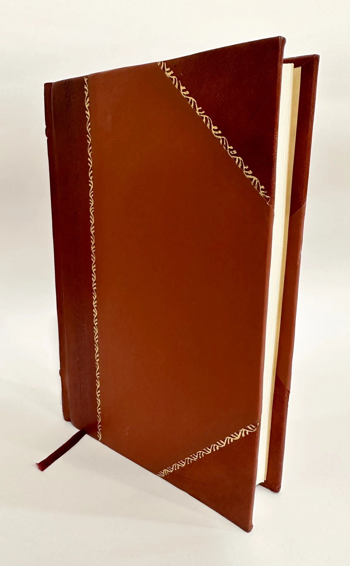 Leather Bound Book F809