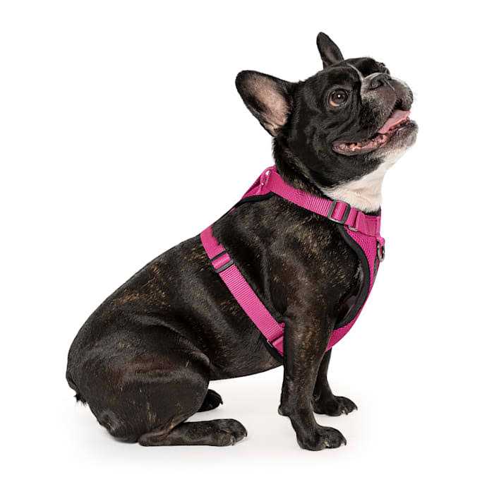 Dog Harness M656