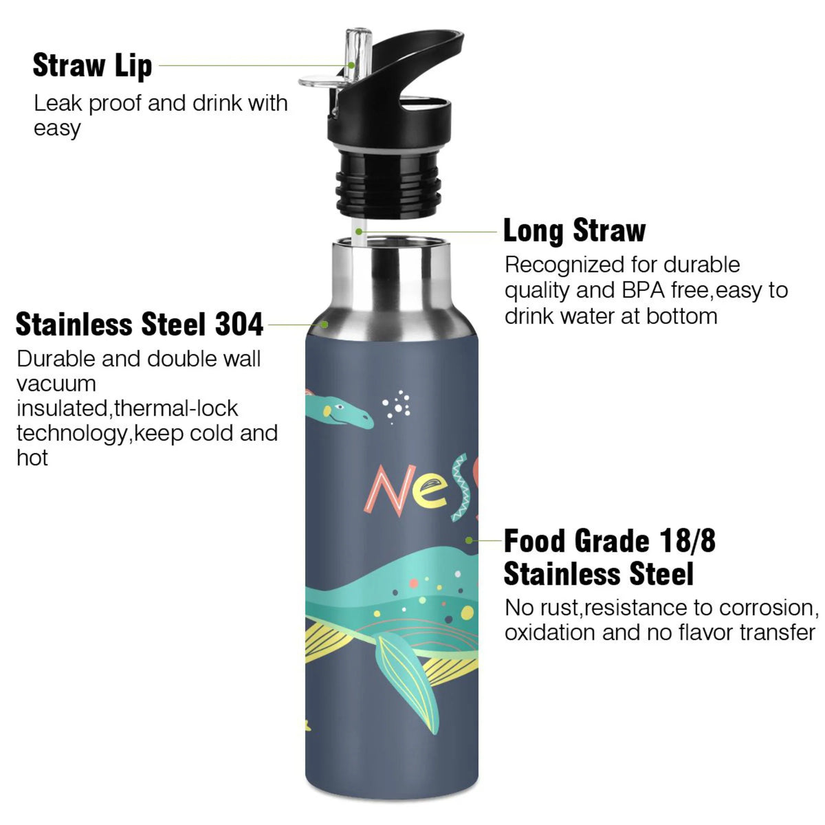 20 OZ Vacuum Insulated Stainless Steel Water Bottle with Straw Lid V5655