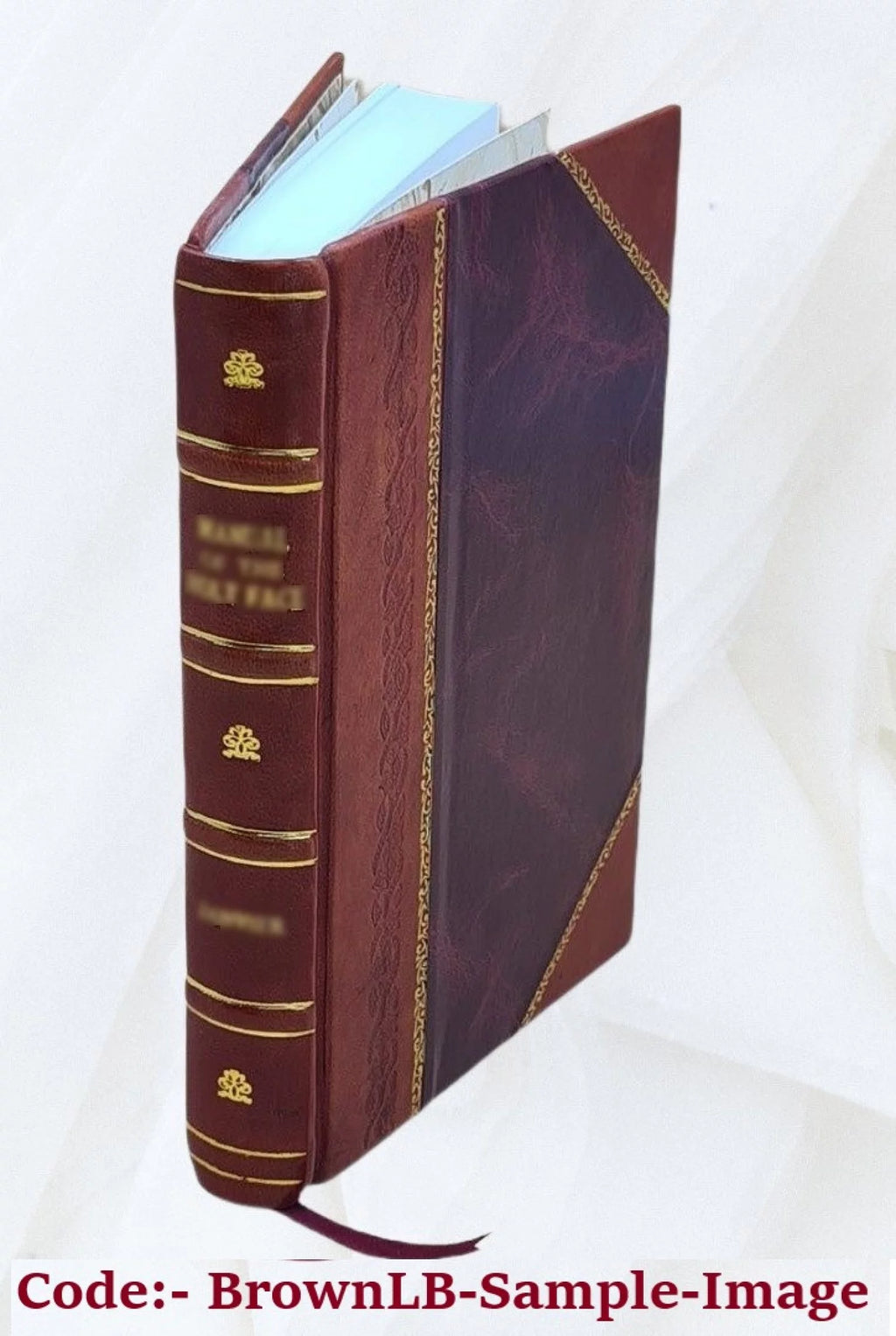 King William County Virginia Homes and Families Leather Bound O7643