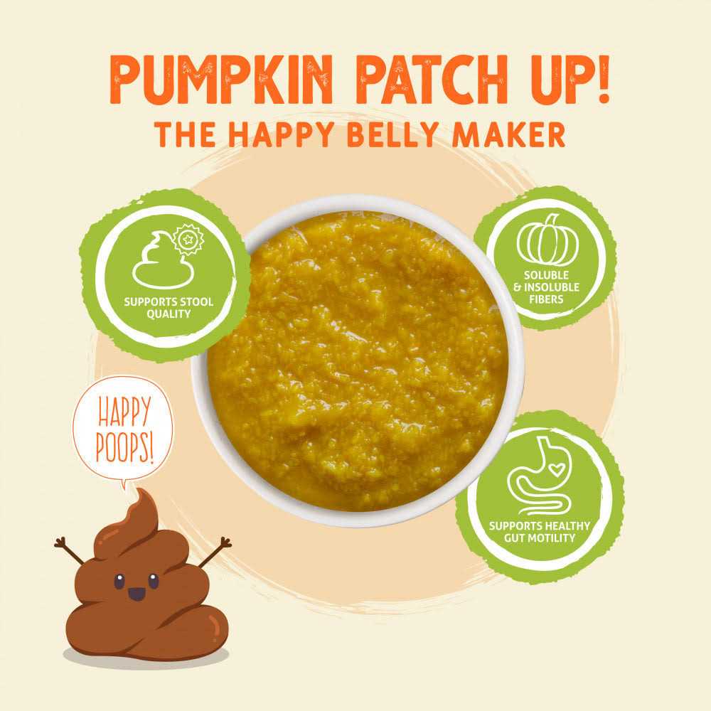 Pumpkin Patch Up Pet Supplies P92558