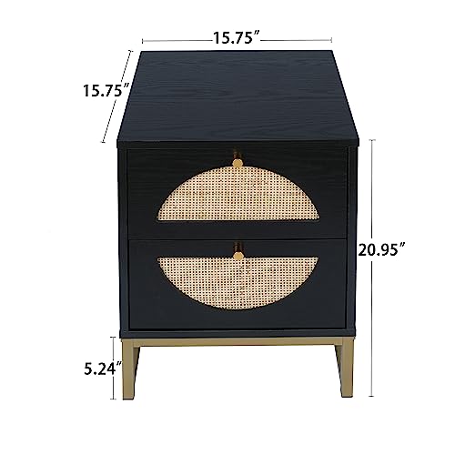 Black 2-Drawer Rattan Wood Nightstand M695