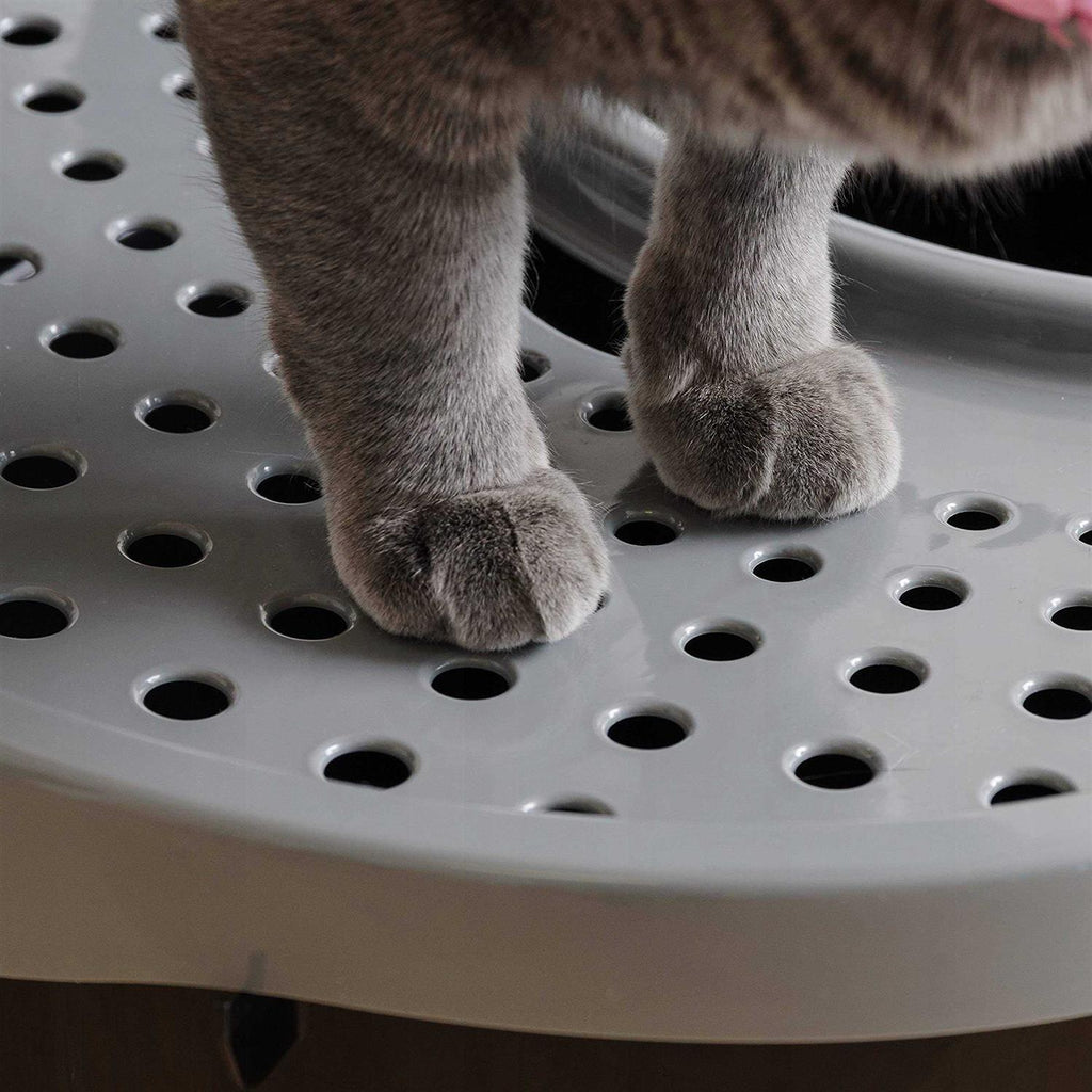 Top Entry Cat Litter Box T19647