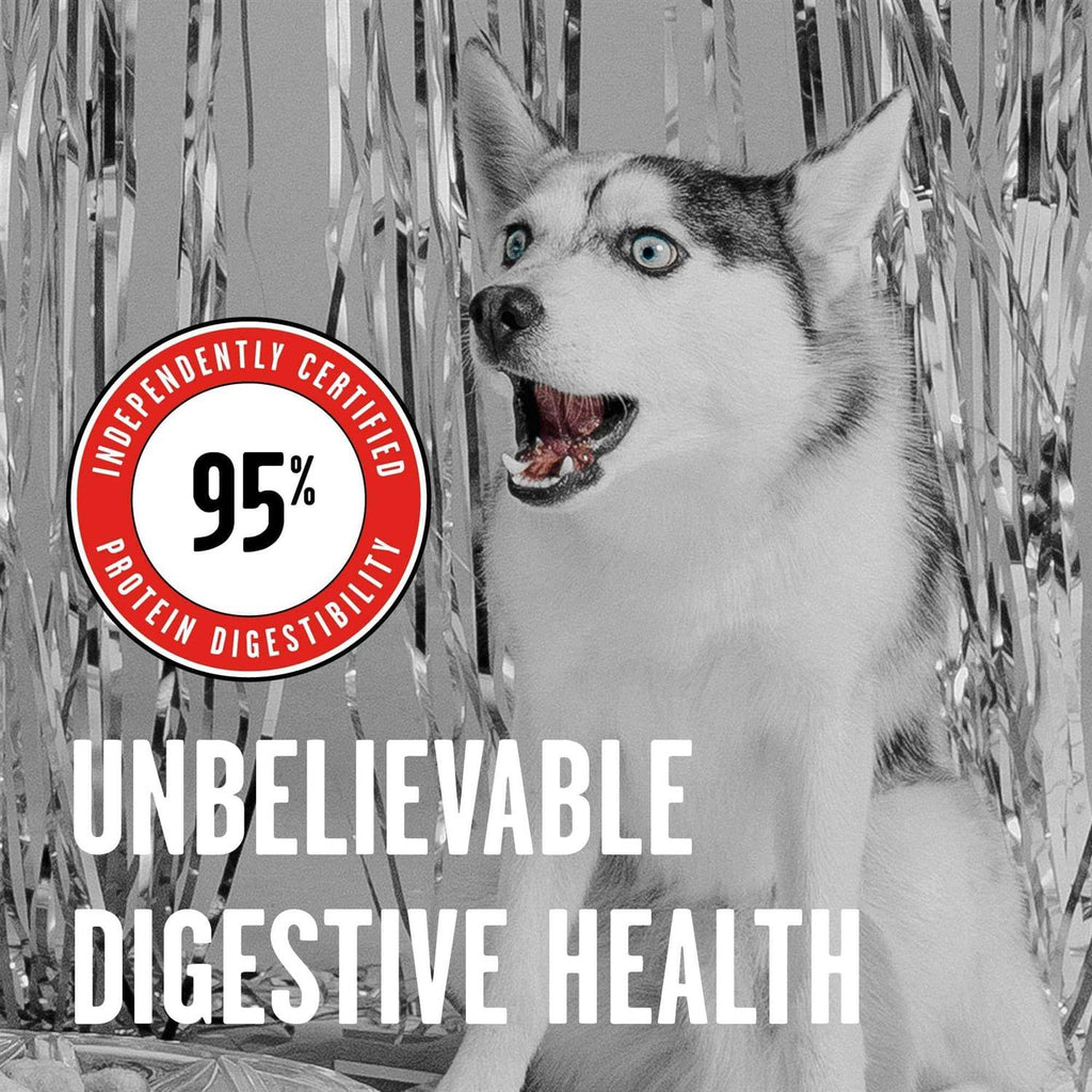 Freeze Dried Beef Dog Food O481