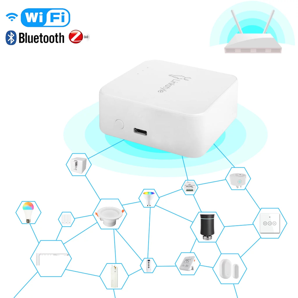 Wi-Fi Faucet Water Timer Controller with App & Voice Controls V96409
