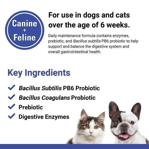 Pet Supplies E49745