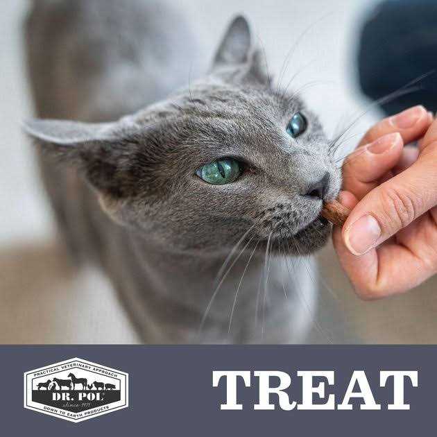 Freeze Dried Salmon Dog Treat and Meal Topper Q13520