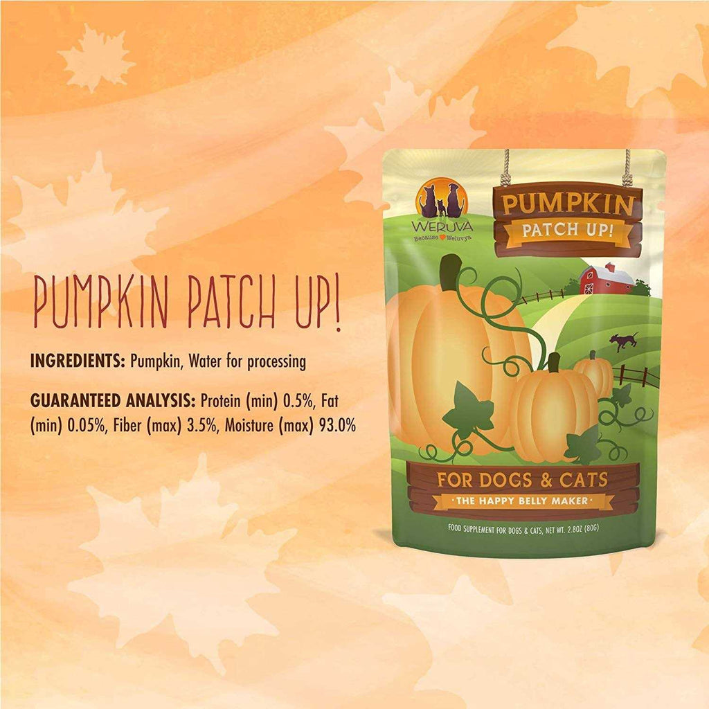 Pumpkin Patch Up Pet Supplies P92558