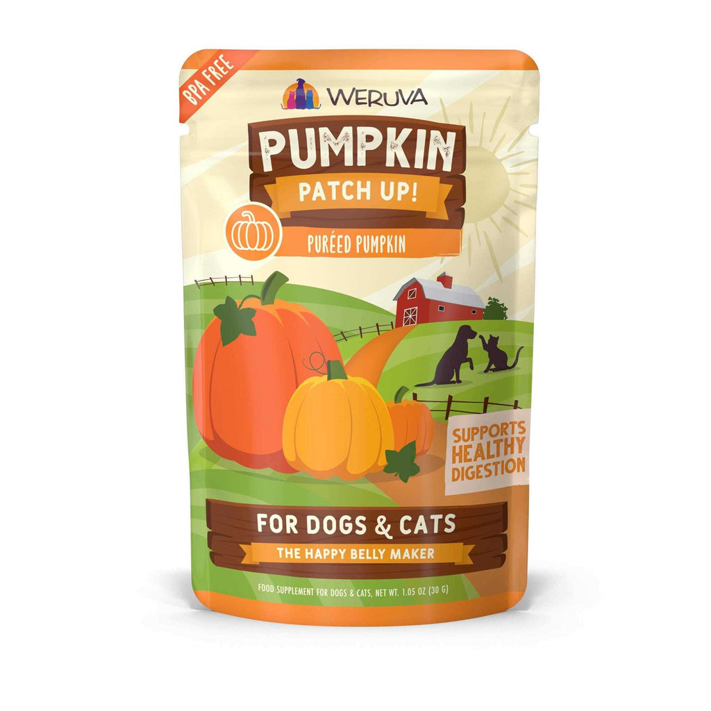 Pumpkin Patch Up Pet Supplies P92558