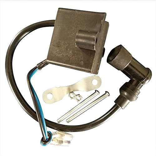 80CC 2 Stroke Bike Motor Kit V77567
