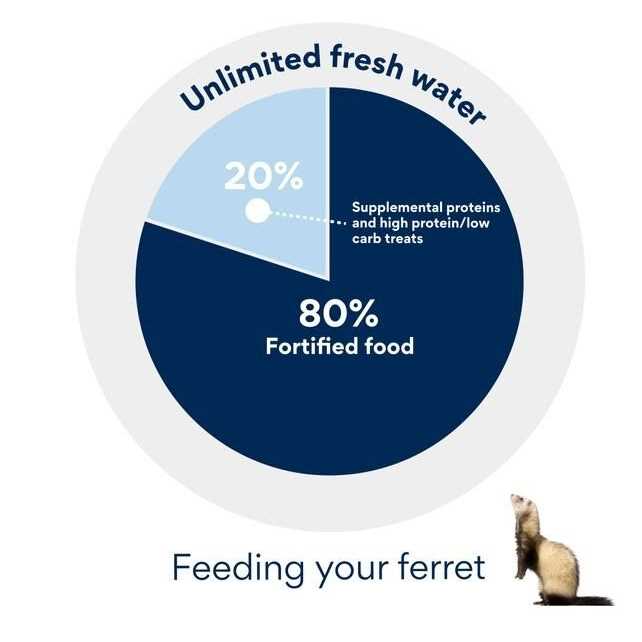 Premium Ferret Diet Y6216