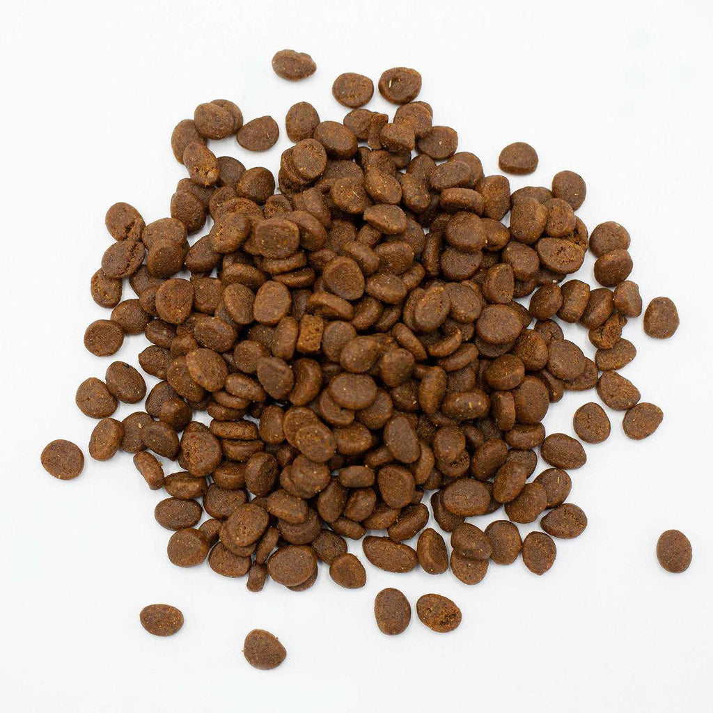 Ferret Food Q6783