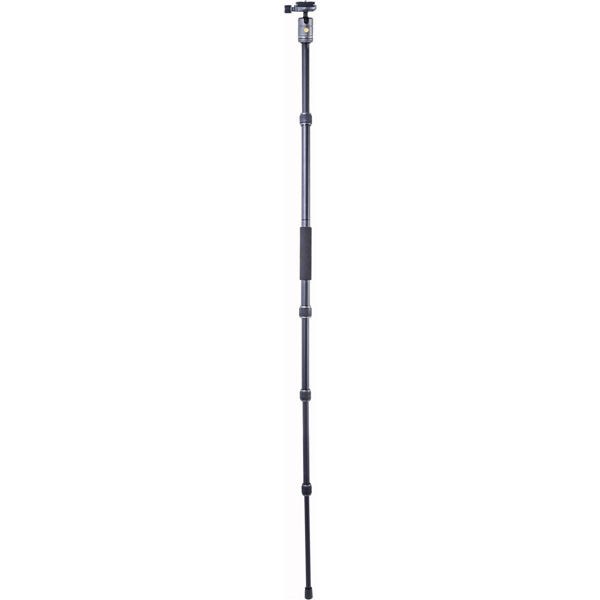 Aluminum Tripod/Monopod with Ball Head W809