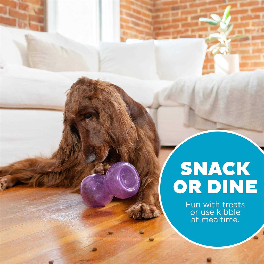 Durable Interactive Dog Toy H269