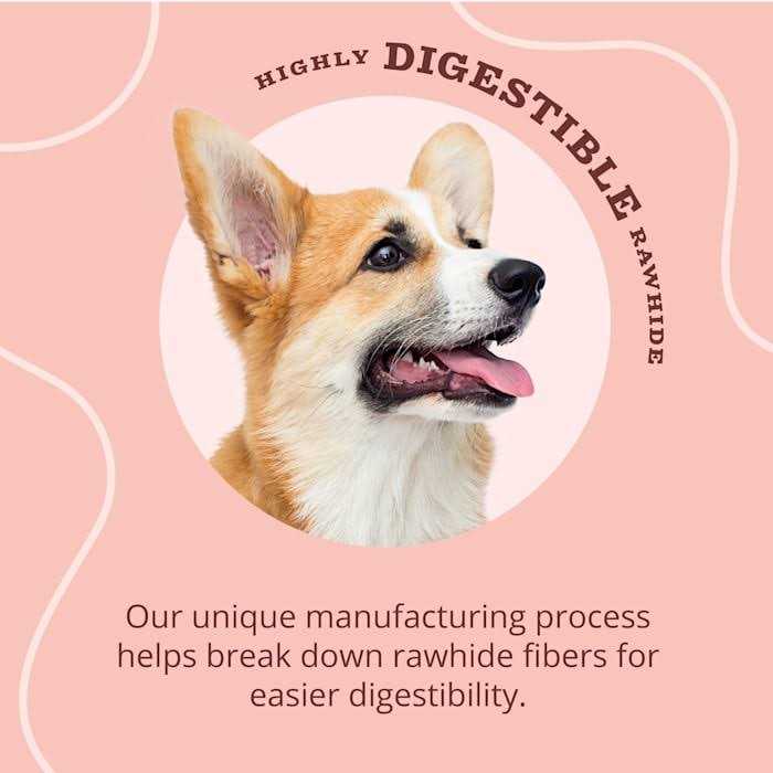 Real Dog Treats V866838