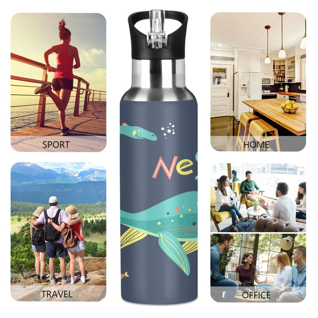 20 OZ Vacuum Insulated Stainless Steel Water Bottle with Straw Lid V5655