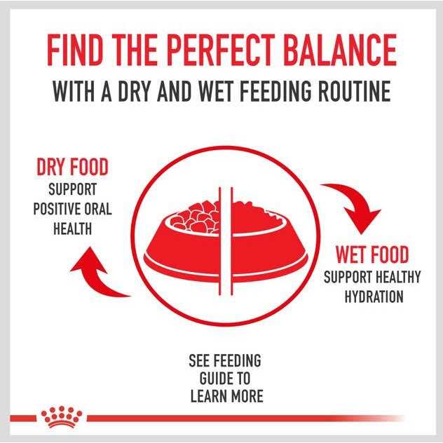 Aging 7+ Dry Dog Food J39600