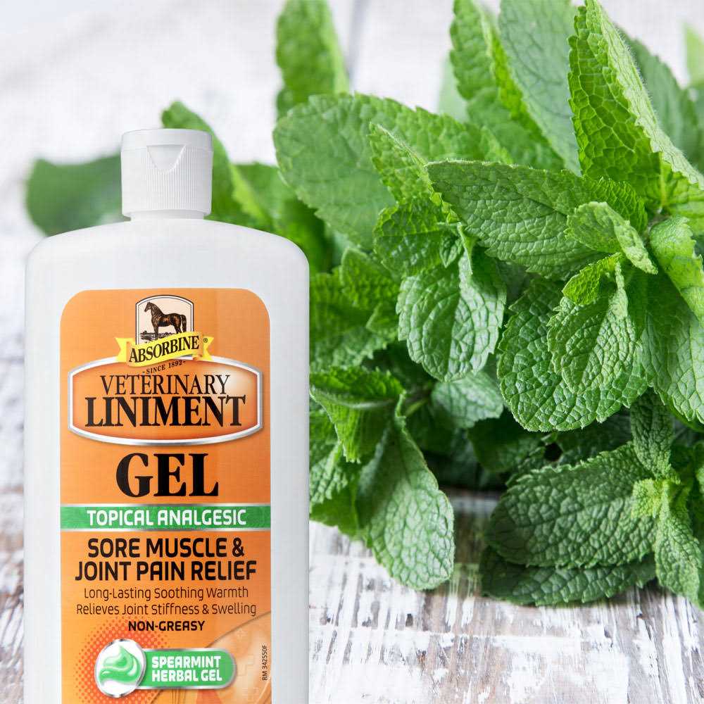 Veterinary Liniment Gel O802