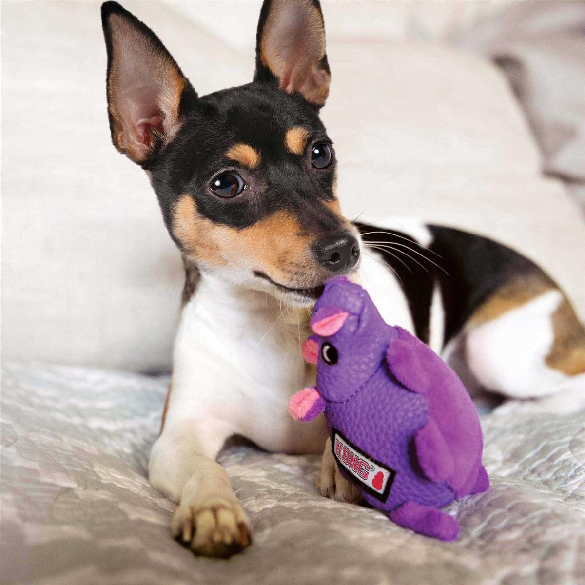 Pig Dog Toy N6628