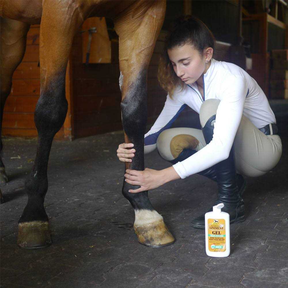 Veterinary Liniment Gel O802