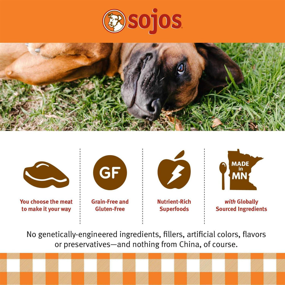 Beef Recipe Dog Food N851