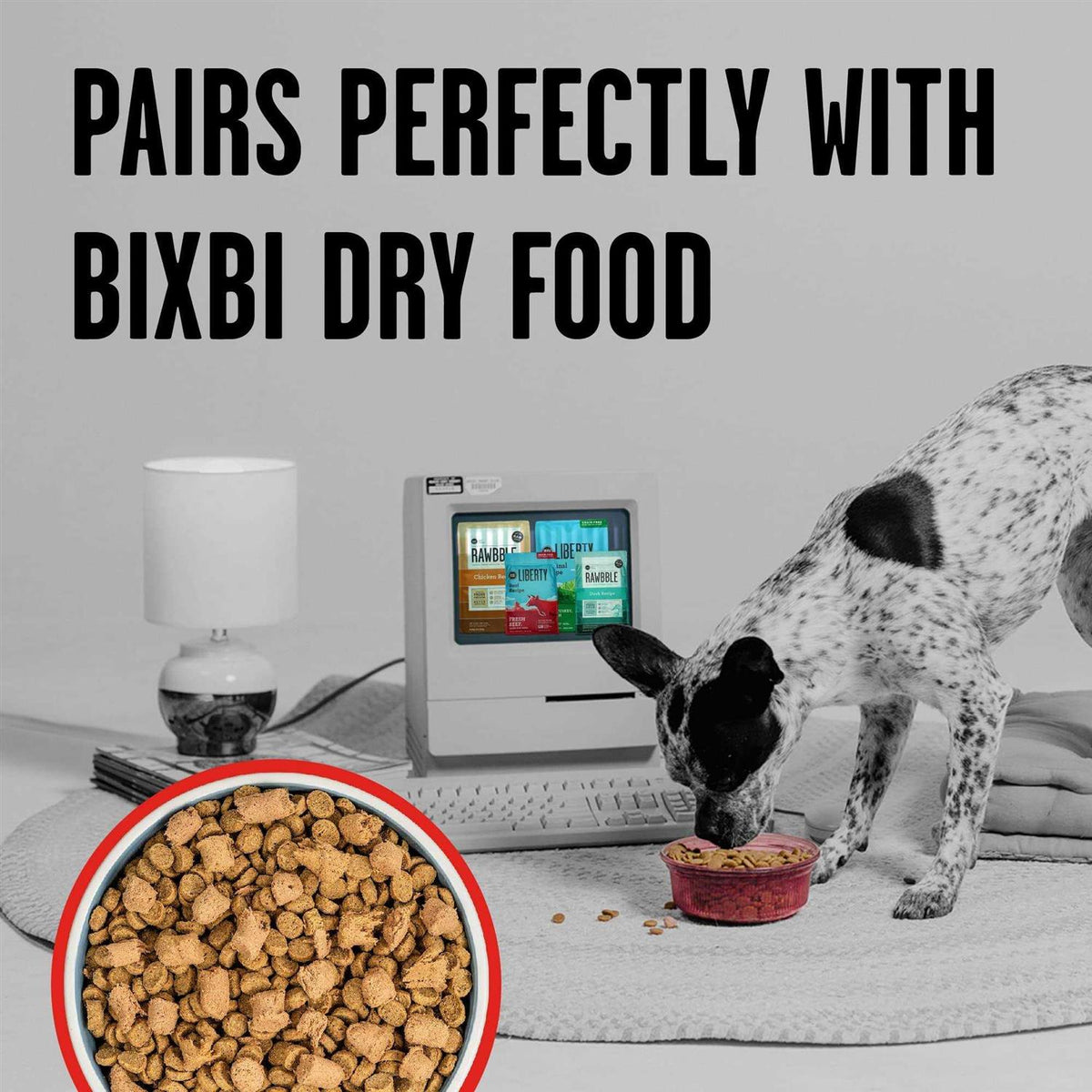 Freeze Dried Beef Dog Food O481