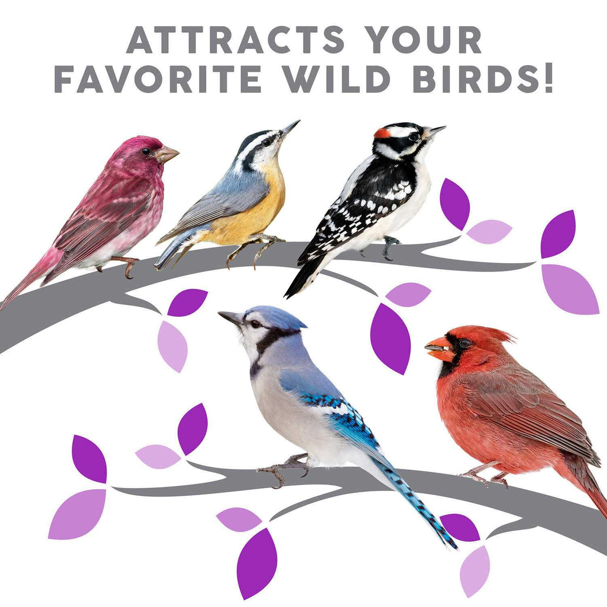 Birder's Medley Wild Bird Food I93291