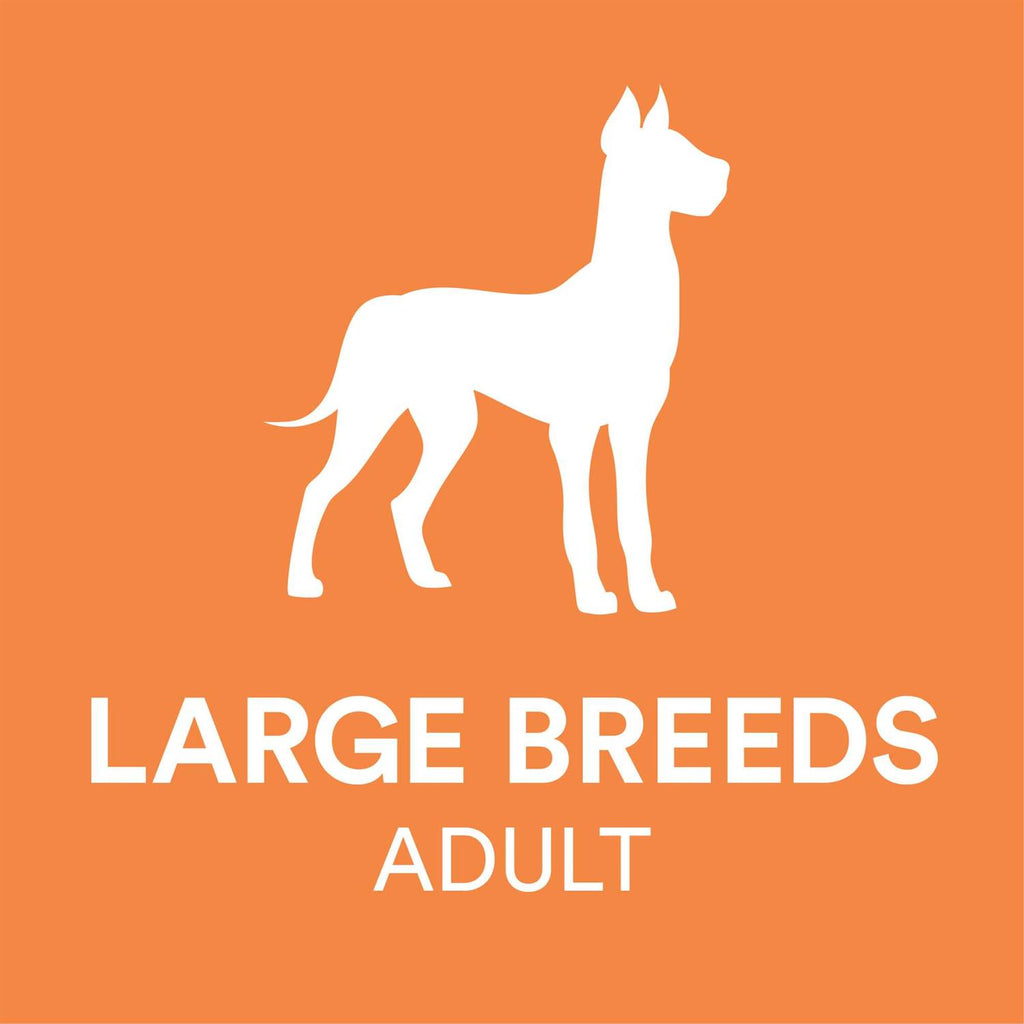 Chicken & Brown Rice Recipe Dry Dog Food O976726