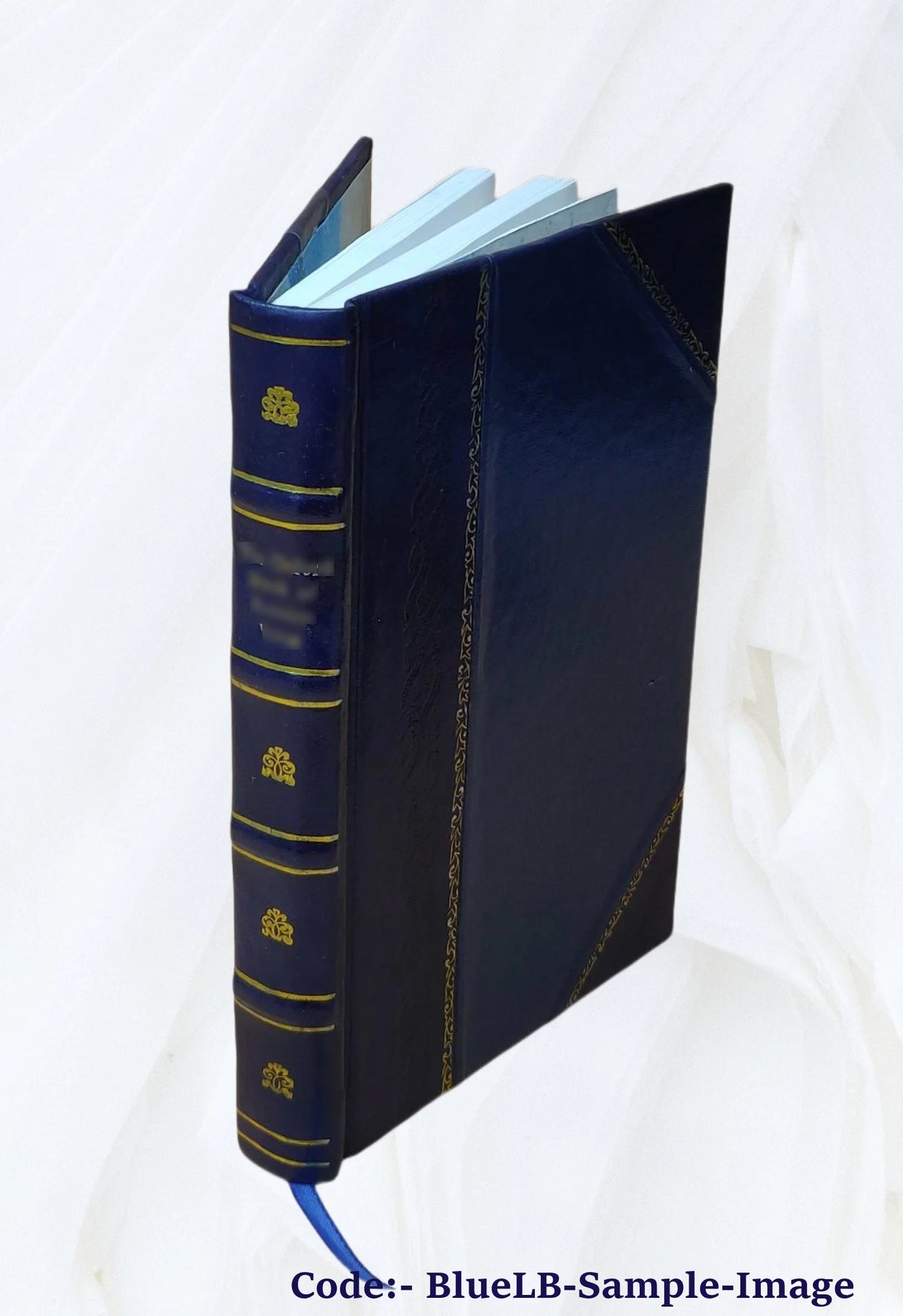 Leather Bound Educational Reformer Book B563