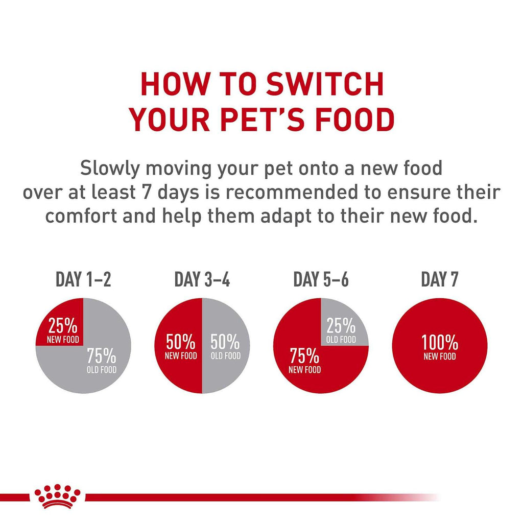 Adult Maltese Dry Dog Food T82470
