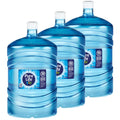 Three Bottle Bundle 5-Gallons Purified Water H875321