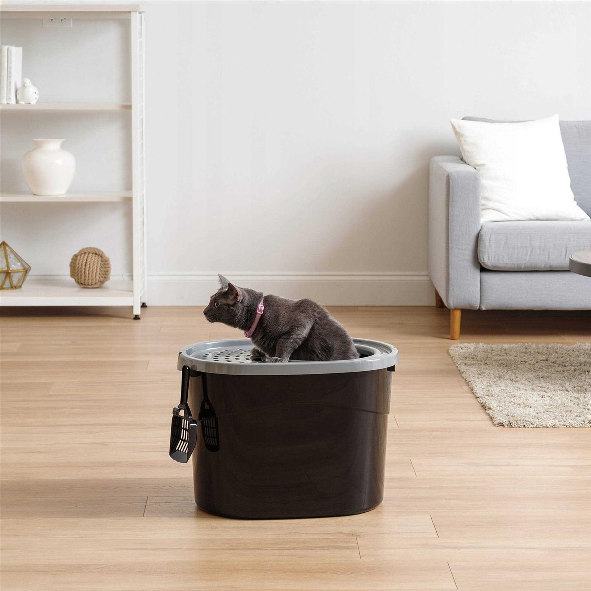 Top Entry Cat Litter Box T19647
