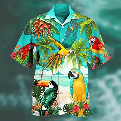 Men Hawaiian Printed Button Down Shirt U7606
